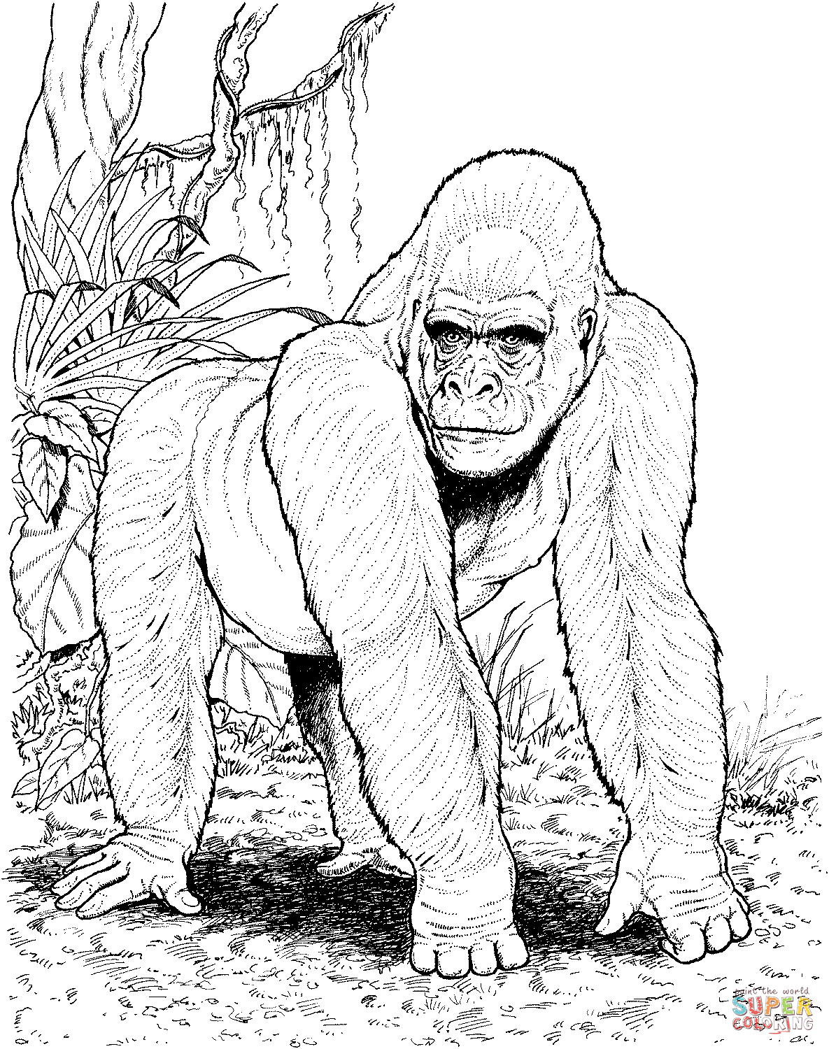 Desenho De Gorila Na Floresta Para Colorir – Free Coloring Pages